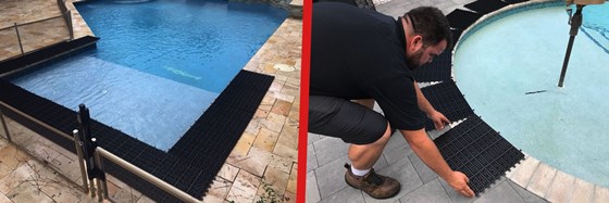 Critter Pricker: raccoon poop