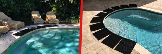 Critter Pricker: Critter Pricker