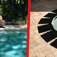 Портфолио Critter Pricker